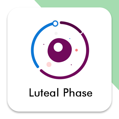 Luteal Phase