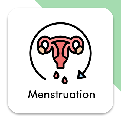 Menstruation