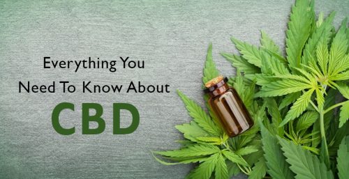 everything-you-need-to-know-about-cbd
