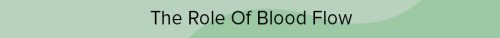 the-role-of-blood-flow