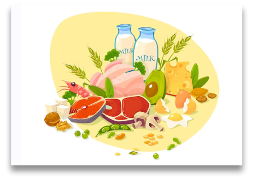 Best Source Of Nutrients