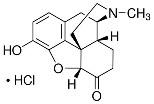 Hydromorphone