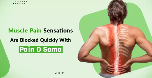 Muscle-Pain-Sensations-Are-Blocked-Quickly-With-Pain-O-Soma