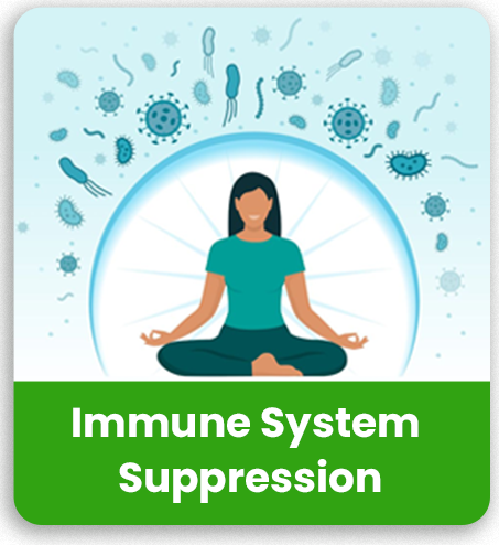immune system suppression@1.5x