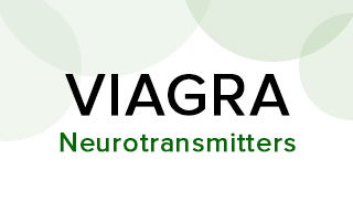 How Does Viagra Affect Your Brain? 4 viagra-neurotransmitters