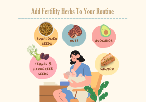 Add Fertility Herbs To Your Routine