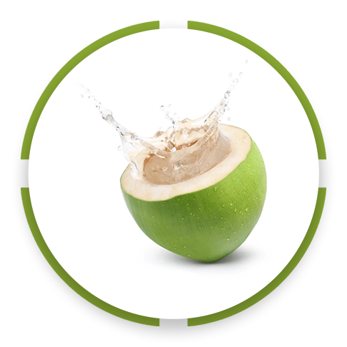 Coconut Water