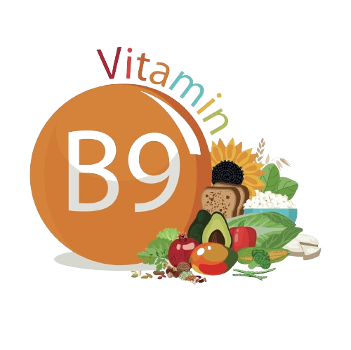 Vitamin_B9