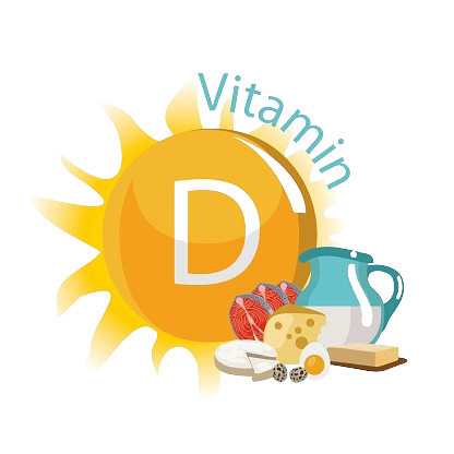 Vitamin_D