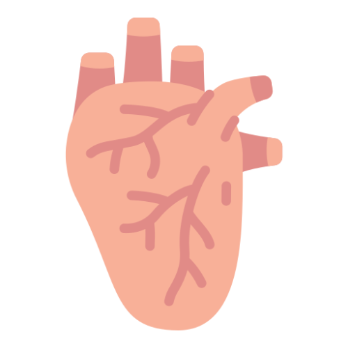 Heart Disorders