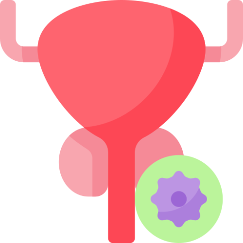 prostate