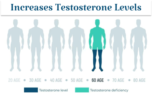Testosterone