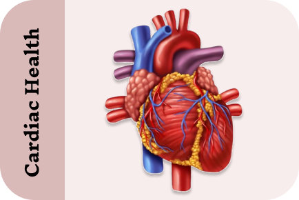Cardiac Health
