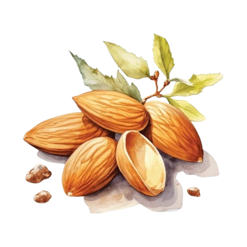 Dry Fruits