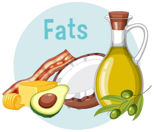 Healthy Fats
