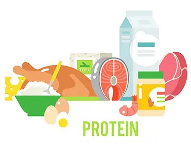 Protein