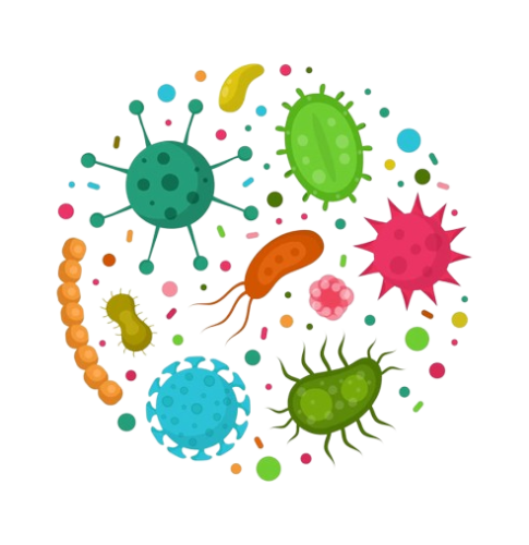 Bacterial Infections