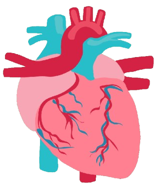 Heart Disorders