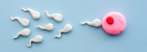 Improved Sperm Quality
