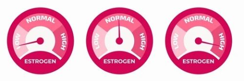 Estrogen