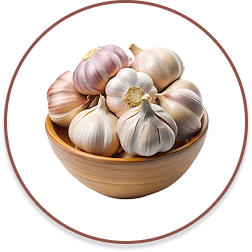 Garlic (1)