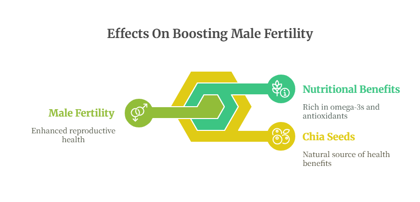 Chia Seeds Are Beneficial For Sexual Health 8 Male Fertility