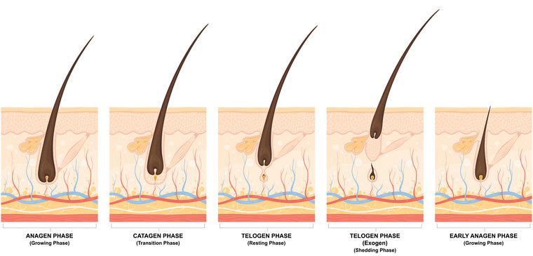 A Guide To Buying Minoxidil