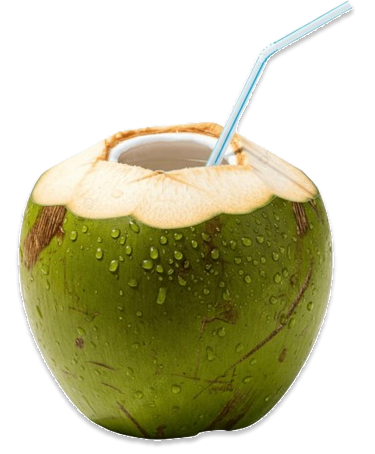 coconut-water (2)
