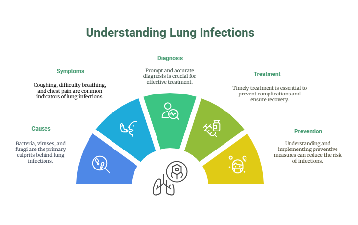 A Guide To Lung Infections- Their Types, Causes, And Symptoms 4 Lung Infections