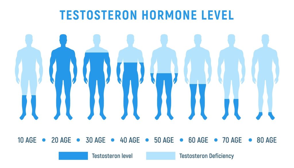 Does My Thyroid Disease Cause Male Impotence? 6 Reduction Of Testosterone Levels