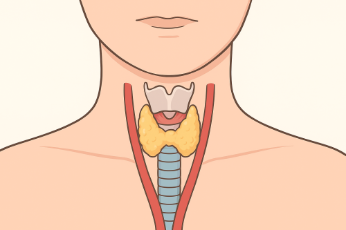 Thyroid Disease
